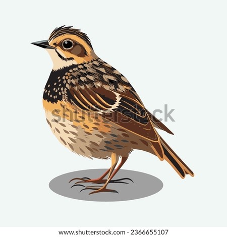 vector cute lark cartoon style
