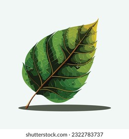 vector cute leaf cartoon style