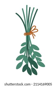 Vector cute leaves bouquet. Flat style crop bunch tied with rope. Funny plant illustration isolated on white background. Drying green twigs hanging upside down. Farm herbs icon
