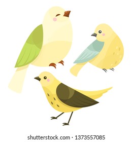 Vector cute little colorful bird isolated on white background. 