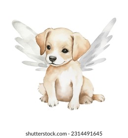 Vector cute little puppy angel. Dog angel with wings watercolor isolated on white background