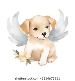Vector cute little puppy angel. Dog angel with wings watercolor isolated on white background