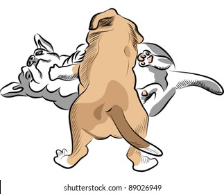 vector cute little red and black and white puppies play