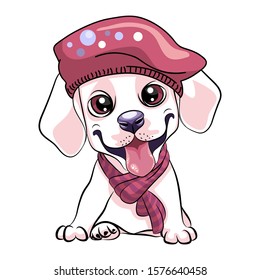 Vector cute little white smiling puppy Labrador Retriever dog wearing a winter scarf and beret