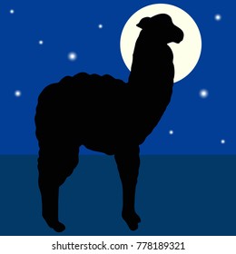 Vector cute llama or alpaca illustration. Silhouette on a background of a night starry sky. Amusing animal.