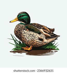 vector cute mallard bird cartoon style