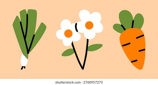 Vector cute minimal illustration of garden plants with simple leek, white daisy flowers and orange carrot. Kawaii vegetable and flower clipart for packaging, kids poster, label and educational design.
