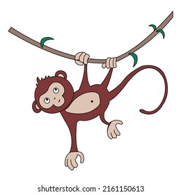 vector cute monkey holding on tree