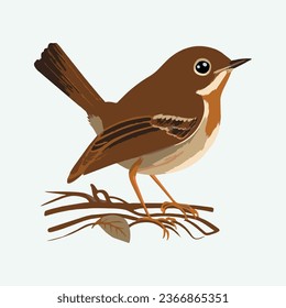 vector cute nightingale bird cartoon style