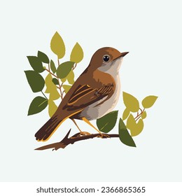 vector cute nightingale bird cartoon style