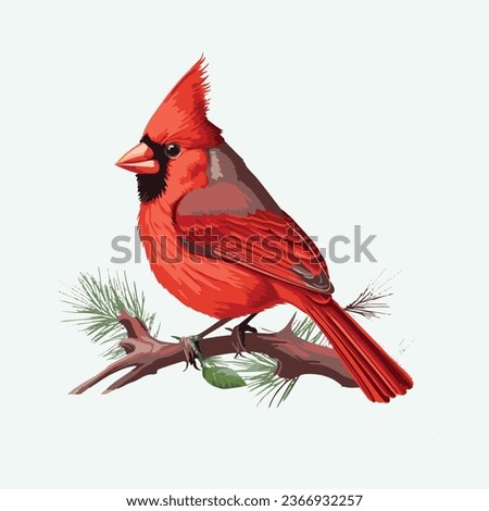 vector cute Northern cardinal bird cartoon style 