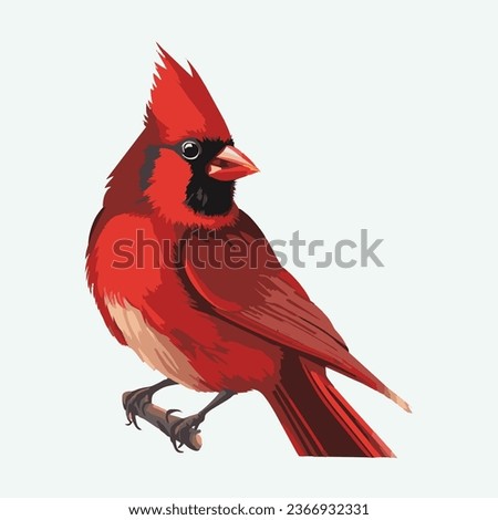 vector cute Northern cardinal bird cartoon style 