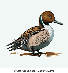 vector cute northern pintail bird cartoon style 