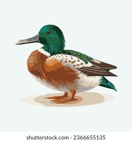 vector cute northern shoveler cartoon style