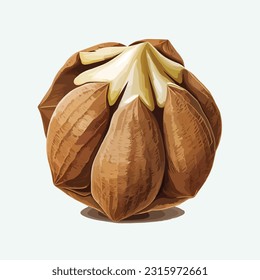 vector cute nuts cartoon style