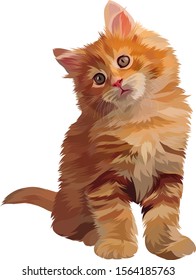 vector of cute orange cat for t-shirt  