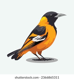 vector cute oriole cartoon style