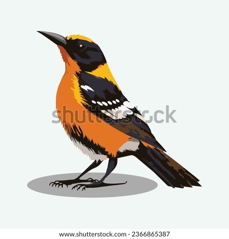 vector cute oriole cartoon style
