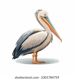 vector cute pelican cartoon style