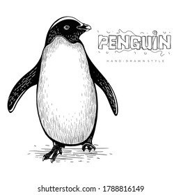 pingüino lindo vector, ilustración animal dibujada a mano