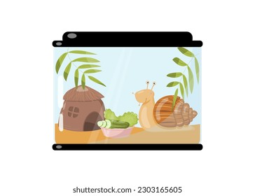 Vector cute pet smiling snail in an aquarium with a coconut shell house and a bowl of cucumbers and lettuce. Giant African land snail, Achatina fulica on white background. 