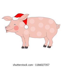 Vector of cute pig in Santa Claus hat as symbol New Year 2019.