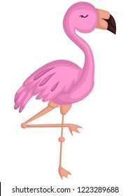 a vector of a cute pink flamingo bird