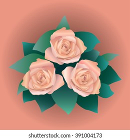Vector cute pink roses in vintage style for design