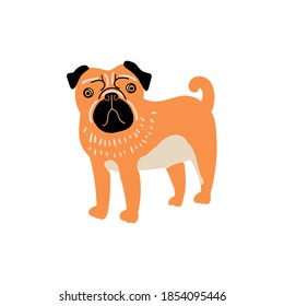 Vector cute pug dog. Doodle illustration isolated on white background