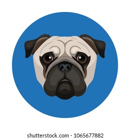Vector cute pug face icon dog breed illustration