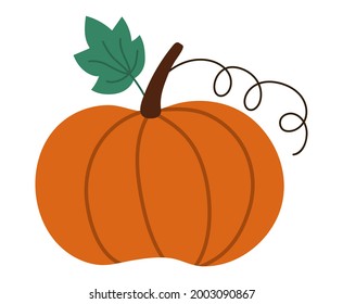 Vector cute pumpkin. Autumn vegetable. Flat style orange squash. Funny veggie harvest illustration isolated on white background. Traditional thanksgiving food or Halloween symbol
