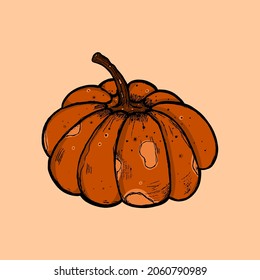 calabaza vectorial linda. La Feliz Fiesta de Halloween. Calabaza naranja con una sonrisa aterradora. Ilustración vectorial para diseño, postales, banner. 