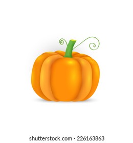 Vector cute pumpkin illustration