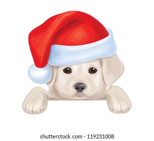 Vector of cute puppy  in Santa's hat hiding by blank.