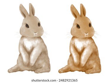 Vector cute rabbit with fluffy fur 2 colors