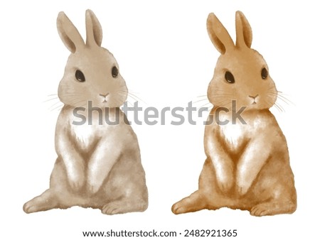 Vector cute rabbit with fluffy fur 2 colors