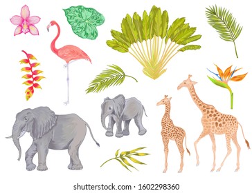 Vector cute realistic illustration of elephant, flamingo and giraffe with flowers, trees and leaves