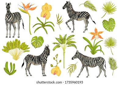 Vector cute realistische Illustration von Zebras mit tropischen Blumen, Bäumen, Palmen und Blättern