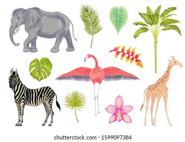 Vector cute realistic illustration of zebra, elephant, flamingo and giraffe with flowers and leaves