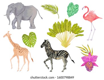 Vector cute realistic illustration of zebra, elephant, flamingo and giraffe with flowers and leaves