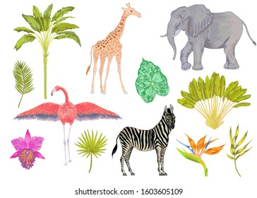 Vector cute realistic illustration of zebra, elephant, flamingo and giraffe with flowers and leaves