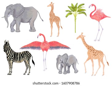 Vector cute realistic illustration of zebra, elephant, flamingo and giraffe with banana tree