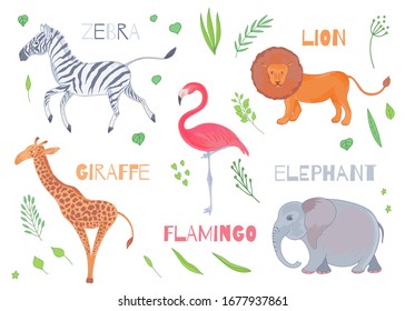 Vector lindo conjunto realista de animales africanos león, flamingo pájaro, jirafa, elefante, cebra, con flores, árboles y plantas.