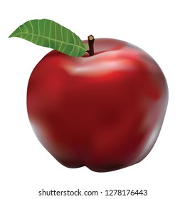 Vector of Cute Red Apple done using gradient mesh. EPS10 format.