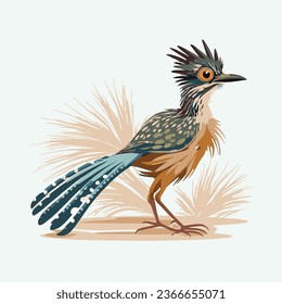 vector cute roadrunner bird cartoon style