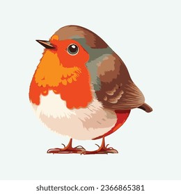 vector cute robin bird cartoon style