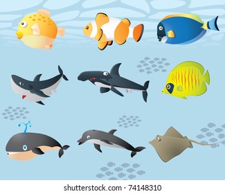 Vector cute sealife