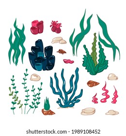 Vector cute set of design elements of the underwater world. Vector illustration in cartoon style. Can be used as stickers, decals, to decorate children's rooms. Stones, corals, algae