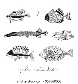 vector cute set with hand drawn fish