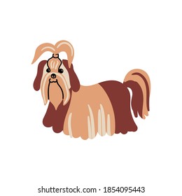 Vector cute shih tzu dog. Doodle illustration isolated on white background